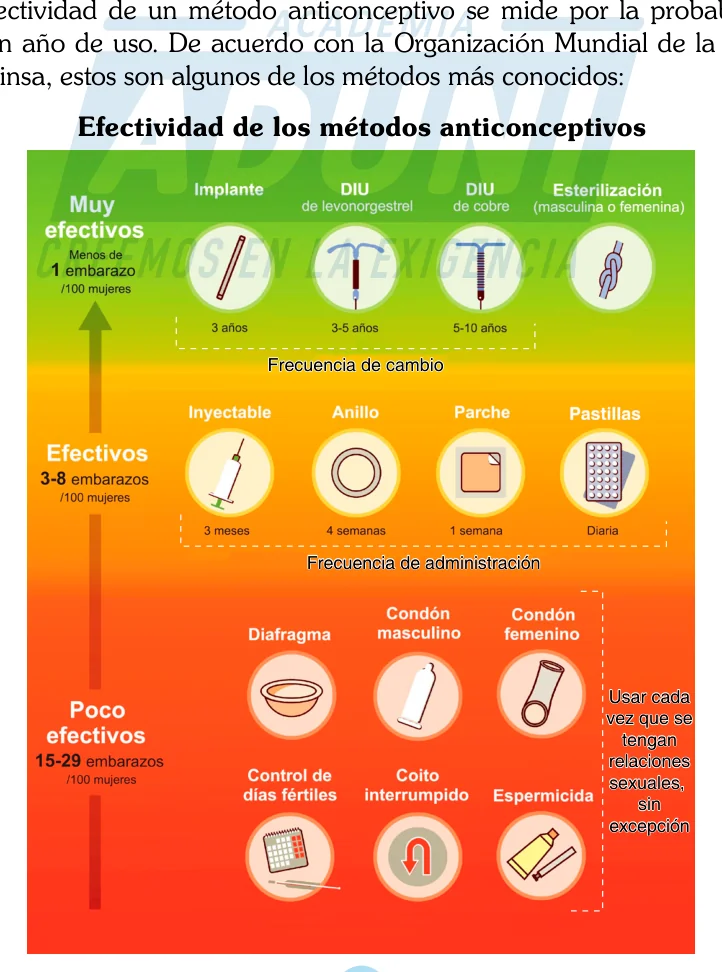 Figura 1 del texto